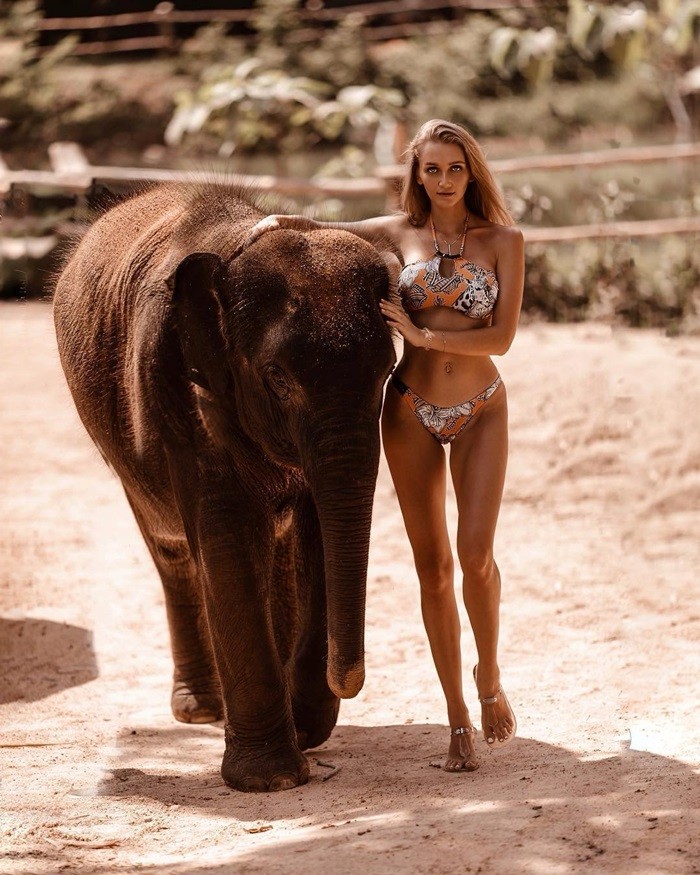 Алина Ботановна и слон