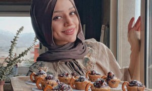 abir-saghir-arab-disney-princess